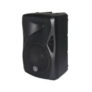TOPP PRO X10 10 inç Pasif Hoparlör 240W 116Db 8 Ohm 120W/480W