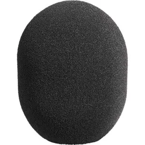 Neumann WS 2 Windscreen