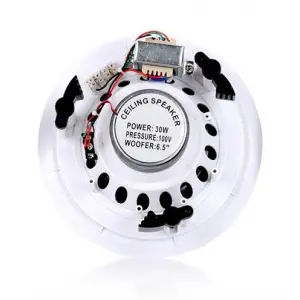 SSP CELL 208 8 inç Tavan Hoparlörü 2-yollu 30W/100V kademeli