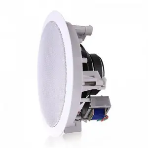 SSP CELL 306 6 Tavan Hoparlörü 2-yollu 30W/100V kademeli