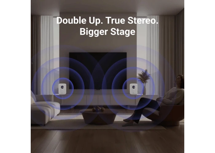 Wiim SOUND Kablosuz Wifi Hoparlör