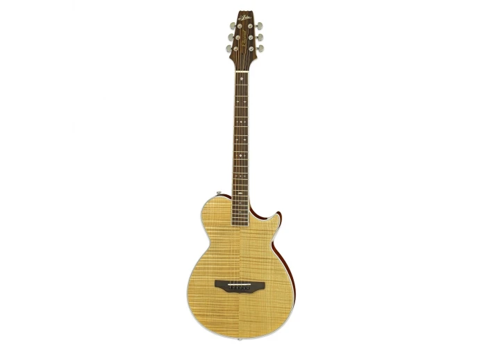 Aria APE100N Elektro Akustik Gitar