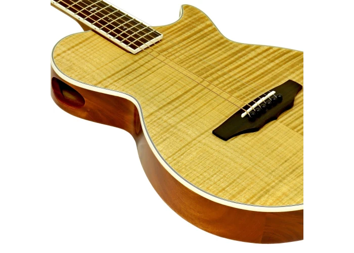 Aria APE100N Elektro Akustik Gitar