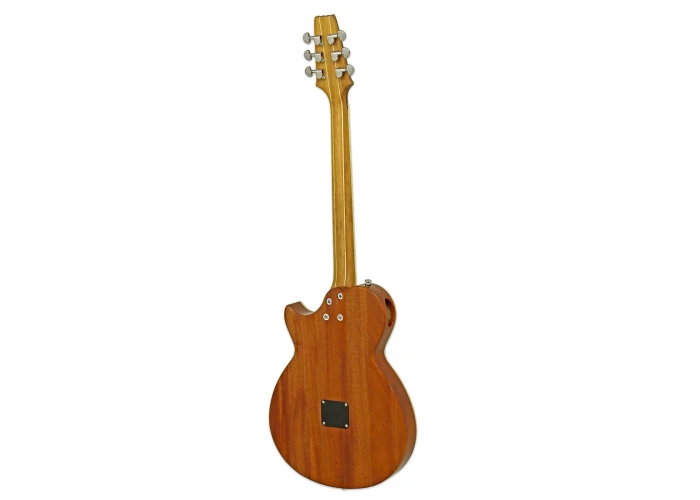 Aria APE100TS Elektro Akustik Gitar