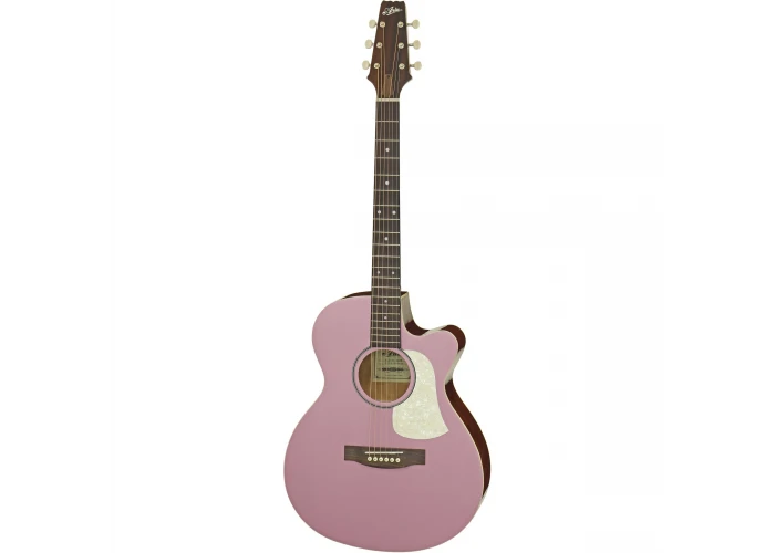 Aria FETR1MSRO Elektro Akustik Gitar