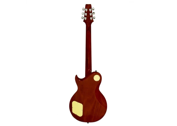 Aria Pro II PE350PGAGLD Elektro Gitar HH RW