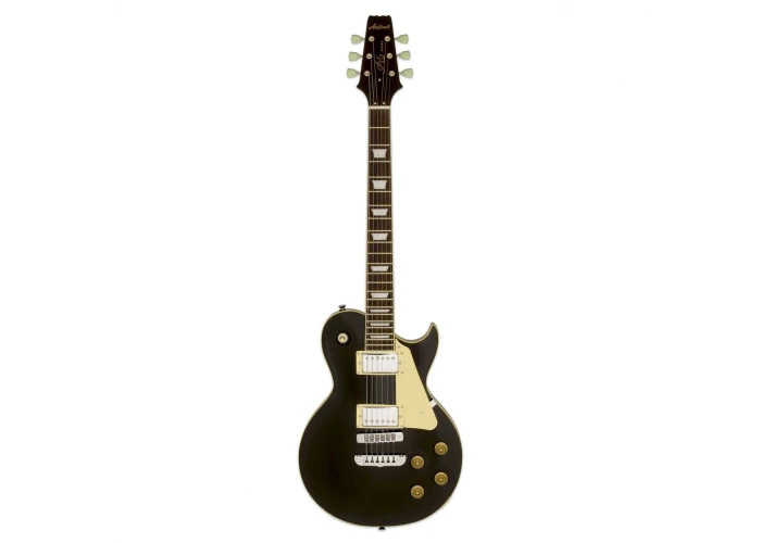 Aria Pro II PE350STDAGBK Elektro Gitar HH RW