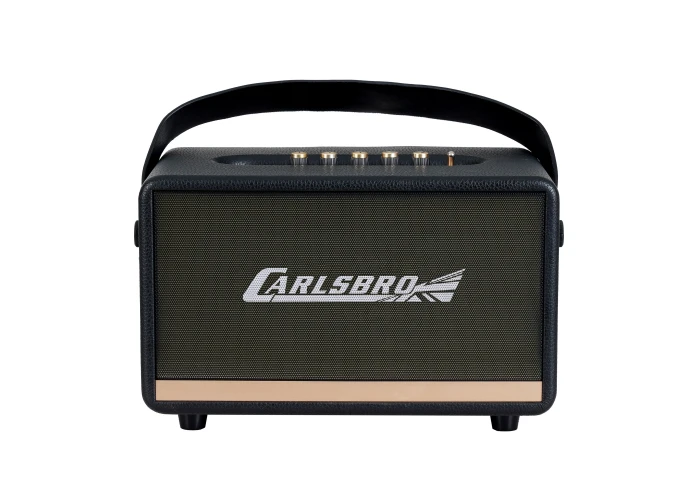 Carlsbro EW CK30-DM Bluetooth Hoparlör (Siyah - 2 Kablosuz Mikrofonlu)