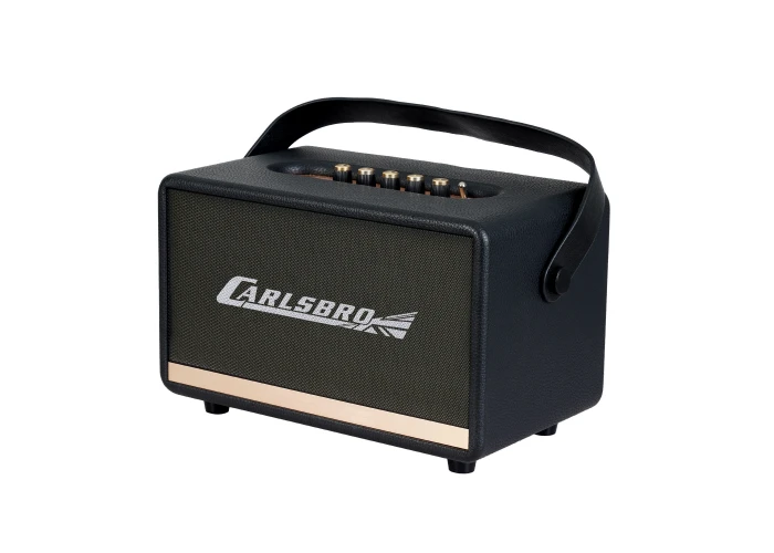 Carlsbro EW CK30-DM Bluetooth Hoparlör (Siyah - 2 Kablosuz Mikrofonlu)