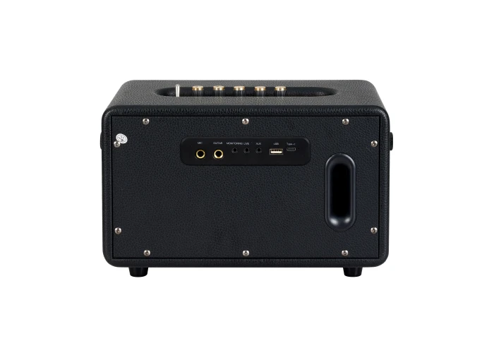 Carlsbro EW CK30-DM Bluetooth Hoparlör (Siyah - 2 Kablosuz Mikrofonlu)