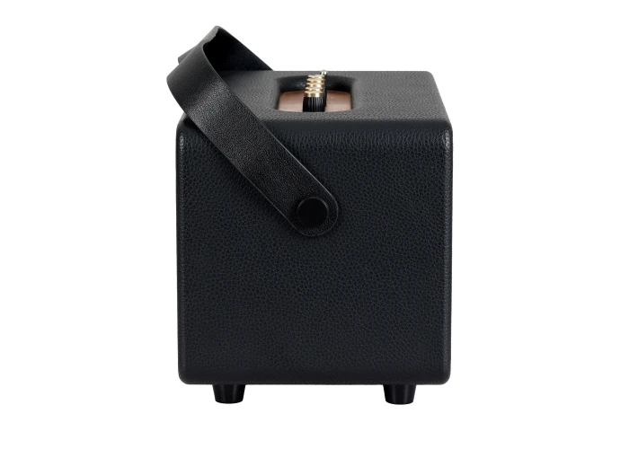 Carlsbro EW CK30-DM Bluetooth Hoparlör (Siyah - 2 Kablosuz Mikrofonlu)