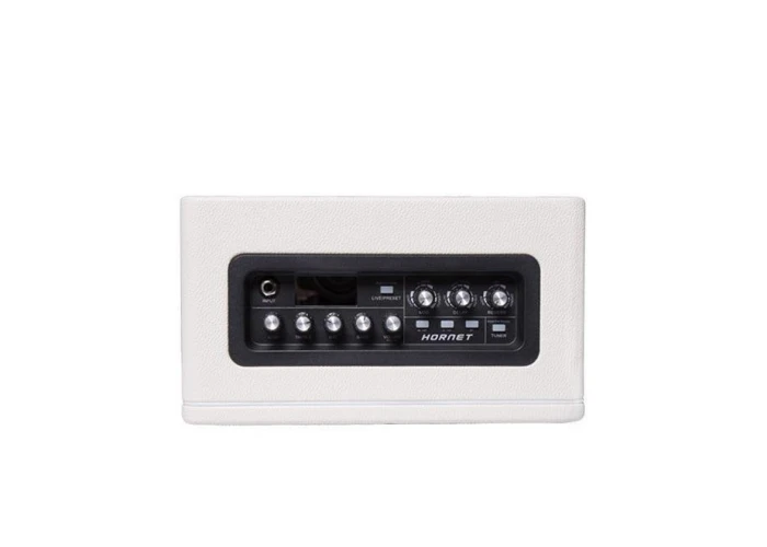 Mooer DH02 Hornet 15W Combo Gitar Amfisi