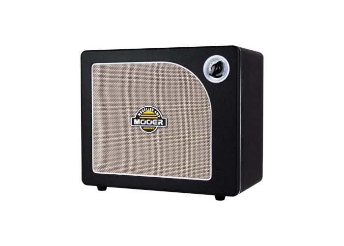 Mooer DH06 Hornet 30W Combo Gitar Ampli