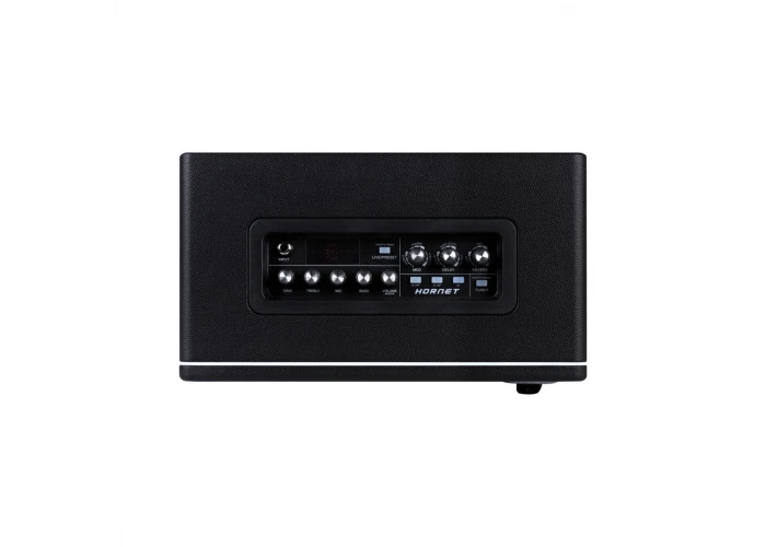 Mooer DH06 Hornet 30W Combo Gitar Ampli