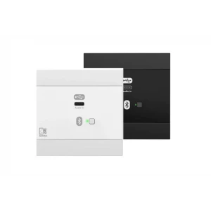 Audac NWP400 Network input panel - USB Type-C + BT (4 CH)