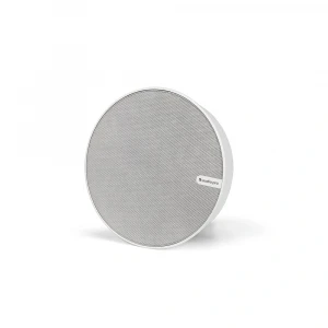 Audio Pro Business SPW-5 Beyaz Aktif Kablosuz Hoparlör (İç/Dış Mekan) (1,9Ghz)
