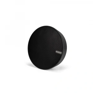 Audio Pro Business SPW-5 Siyah Aktif Kablosuz Hoparlör (İç/Dış Mekan) (1,9Ghz)