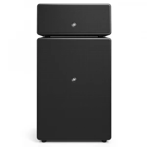 Audio Pro Drumfire W Black Multiroom Akıllı Ev Hoparlörü