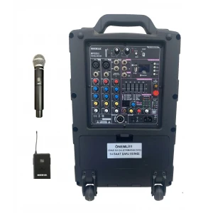 Mickle MP1010 10 Akülü Mobil Hoparlör, 300/600W 99 program Efekt, Çift Mikrofonlu