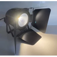 SHOW T100COB 100W Led Fresnel Spot PROVA Işığı