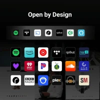 Wiim SOUND Kablosuz Wifi Hoparlör