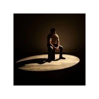 ADJ Lighting Encore Profile Pro WW 260W Warm White LED Profil Spot
