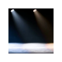 ADJ Lighting Focus Flex L19 19x40-Watt Led Movinghead Wash, RGBL