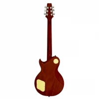 Aria Pro II PE350PGAGLD Elektro Gitar HH RW