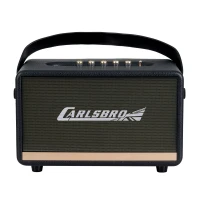 Carlsbro EW CK30-DM Bluetooth Hoparlör (Siyah - 2 Kablosuz Mikrofonlu)