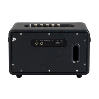 Carlsbro EW CK30-DM Bluetooth Hoparlör (Siyah - 2 Kablosuz Mikrofonlu)