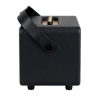 Carlsbro EW CK30-DM Bluetooth Hoparlör (Siyah - 2 Kablosuz Mikrofonlu)