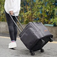 Joyo BSK150 150W Şarjlı Multifonksiyon Profesyonel Müzisyen Amfisi