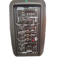 Mickle MP810 8 Şarjlı Portatif Hoparlör, EL+Headset Mikrofon, Efekt, USB, Bluetooth
