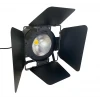 SHOW T100COB 100W Led Fresnel Spot PROVA Işığı