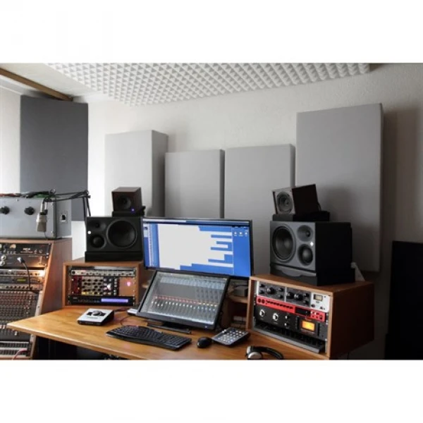 Neumann KH 310 A R G 8+3+1 Aktif Monitor