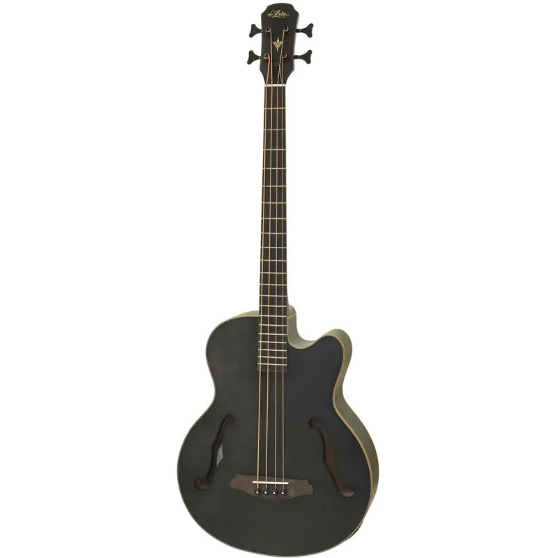 Aria FEBF2MSTBK Akustik Bas Gitar
