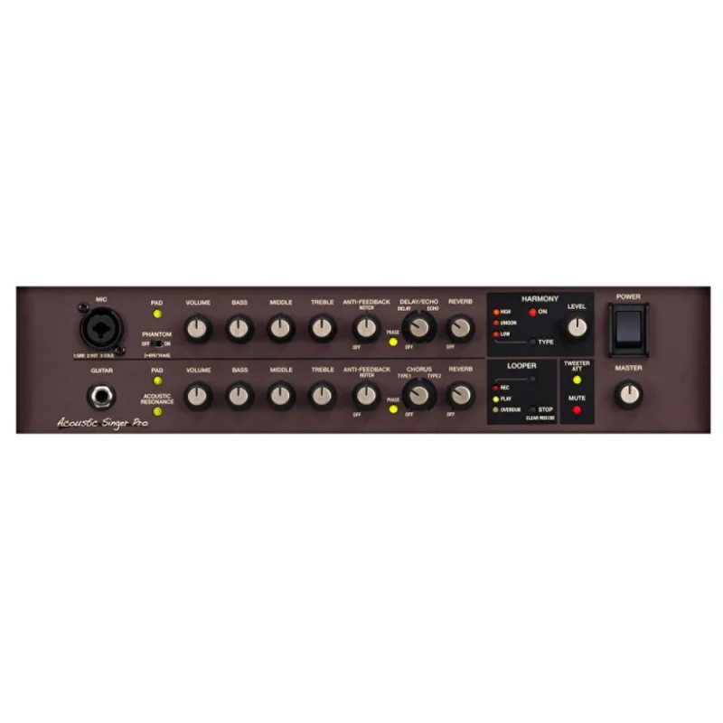 BOSS ACS-PRO Acoustic Singer Pro Amfi