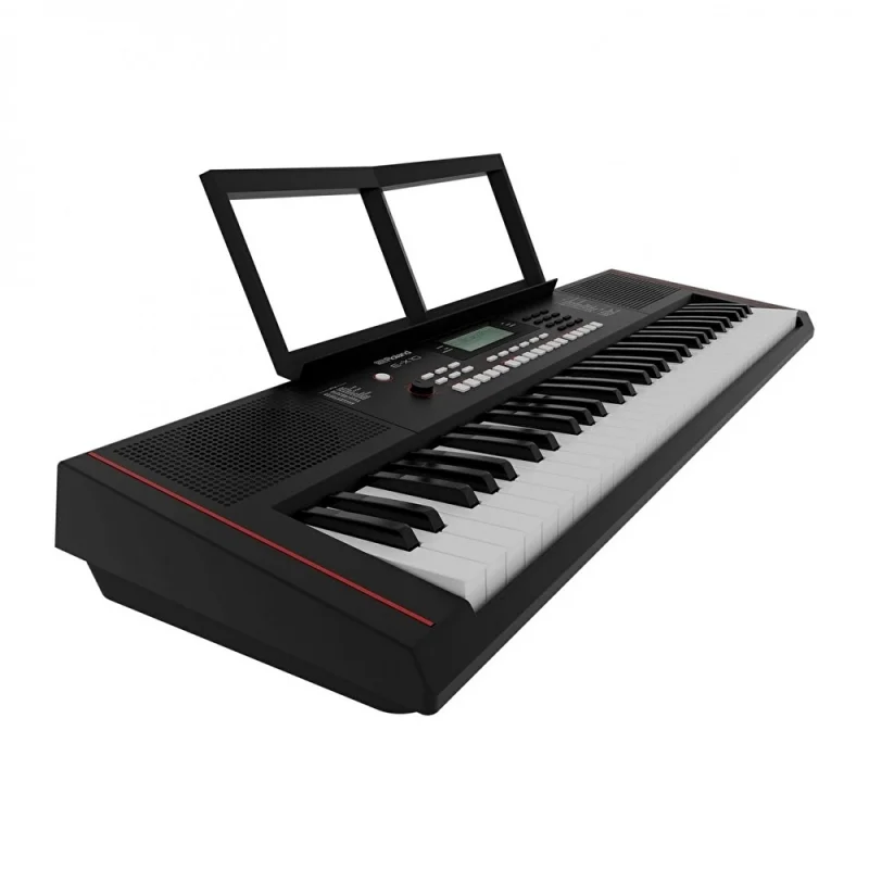 ROLAND E-X10 Tuş Hassasiyetli Ritimli Org Klavye