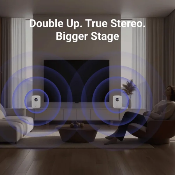 Wiim SOUND Kablosuz Wifi Hoparlör