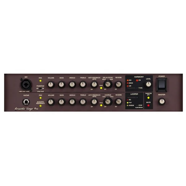 BOSS ACS-PRO Acoustic Singer Pro Amfi