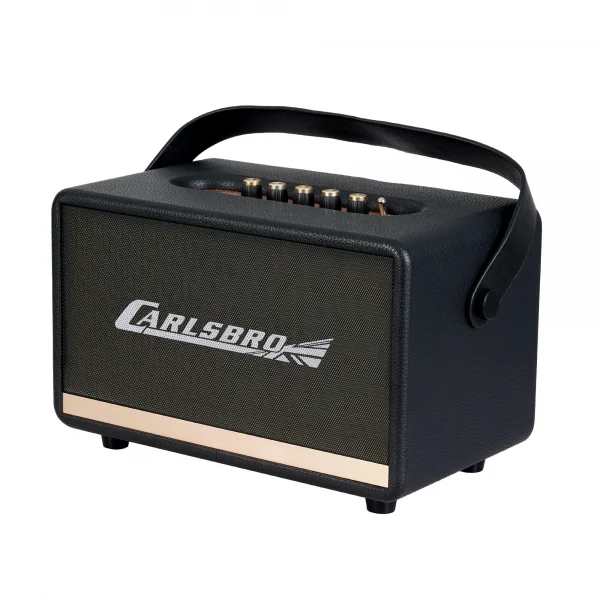 Carlsbro EW CK30-DM Bluetooth Hoparlör (Siyah - 2 Kablosuz Mikrofonlu)