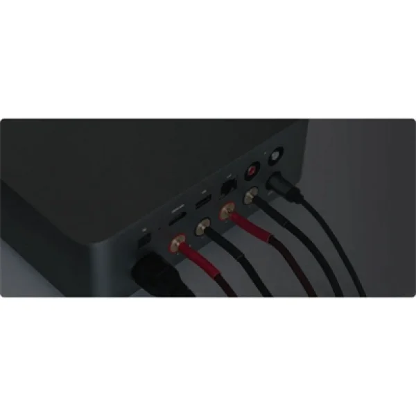 Wiim Amp Ultra Network ve Entegre Amplifikatör