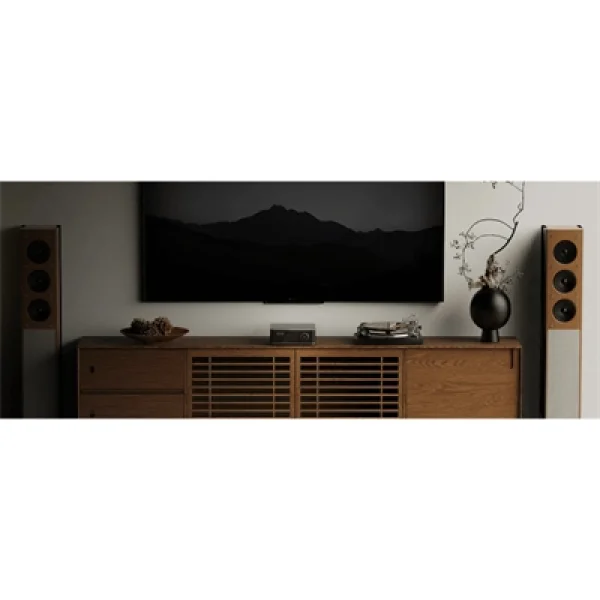 Wiim Amp Ultra Network ve Entegre Amplifikatör