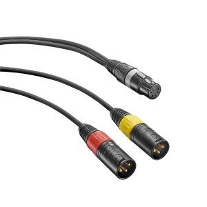 Sennheiser AC 20 Y Kablo (XLR-5 Dişi → 2 × XLR-3 Erkek, 1 m)