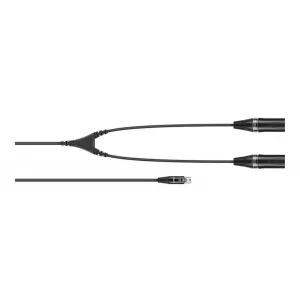 Sennheiser CA 6042 XLR Y Kablo (5 Pin Mini XLR → 2 × 3 Pin XLR)