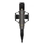 Sennheiser MKH 800 Twin Nx RF Kondenser Stüdyo Mikrofonu (2 × Kardioid, Değişken Yönlülük)