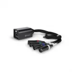 Palmer AoC Loom XLRm 4 Kanal Erkek XLR to RJ45 CAT5/CAT6 Ethernet Extender