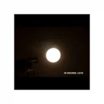 ADJ Lighting Encore Profile Pro WW 260W Warm White LED Profil Spot
