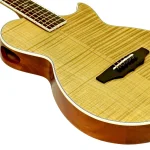 Aria APE100N Elektro Akustik Gitar