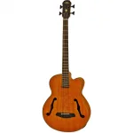 Aria FEBF2MSTBR Akustik Bas Gitar